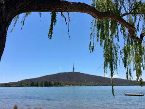 Black Mountain Tower