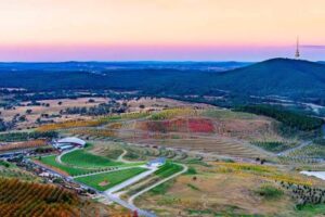 Aerial view of the arboretum